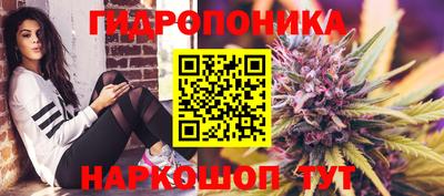 молекула духа Старая Купавна