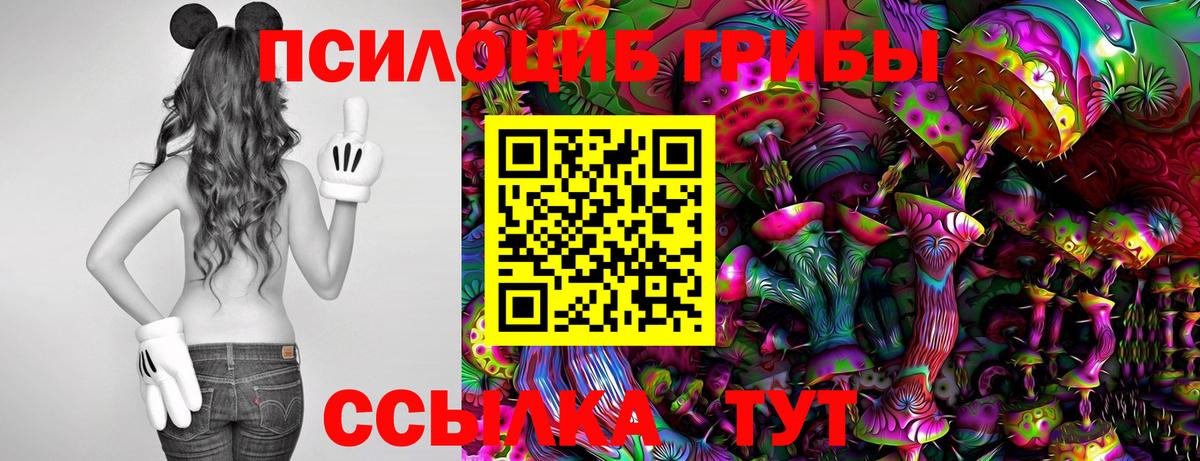 Псилоцибиновые грибы мухоморы  Вход с VPN  Альметьевск  Псилоцибиновые грибы GOLDEN TEACHER 